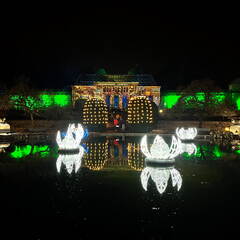 22-12-19 20-12-49 3686